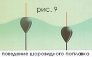 11347.jpg