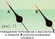 11348.jpg