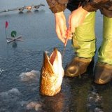 Suomi0607.jpg
