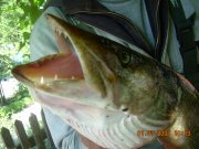 DSCN7418.JPG