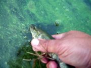 DSCN7303.JPG