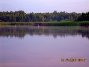 DSCN7390.JPG
