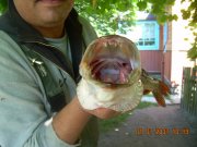 DSCN7417.JPG