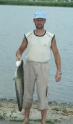 IMG_9387som.jpg