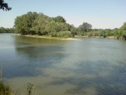 Photo-0188..jpg