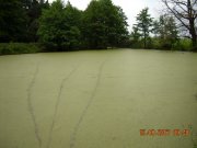 DSCN9930.JPG