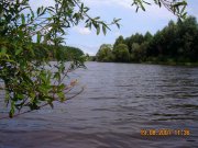 DSCN9978.JPG