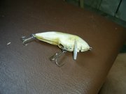 PIC_00131.jpg