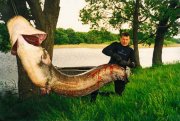 big_fish.jpg