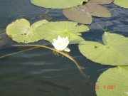 DSC03895.jpg