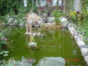DSC03925.jpg