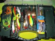 IMG_2294_1.jpg