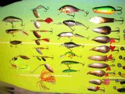 IMG_2279_1.jpg