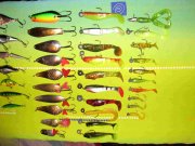 IMG_2280_1.jpg