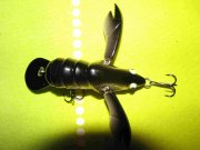 IMG_2299_1.jpg