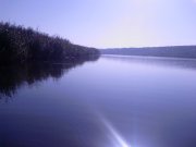 Photo-0216.jpg