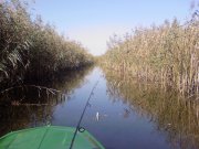 Photo-0219.jpg