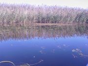 Photo-0222.jpg