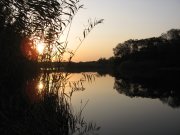IMG_1772.JPG