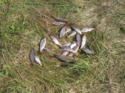 IMG_0589.JPG