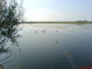 DSC00793.JPG