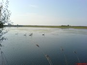DSC00794.JPG