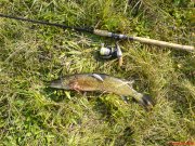 DSC00795.JPG