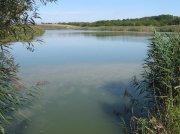 кирово 005.jpg