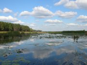 DSCN1261.JPG