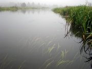 P9280015.JPG