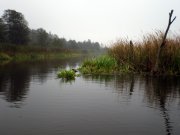 P9280030.JPG