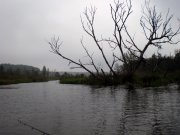 P9280034.JPG