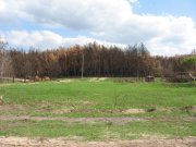 Косач08 006.jpg