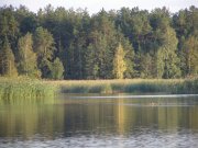 P9265943.jpg