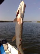 28092008031.jpg