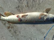 28092008036.jpg