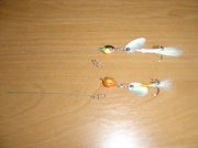 DSC03634.jpg