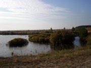 PA020003.JPG