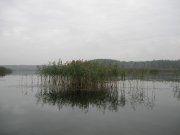 DSCN1574.JPG