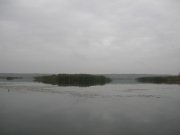 DSCN1576.JPG