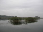 DSCN1579.JPG