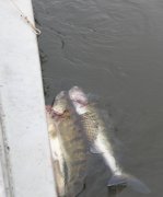 DSCN1530.jpg