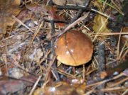 DSCN1630.JPG