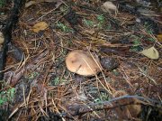DSCN1626.JPG