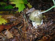 DSCN1639.JPG