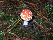 DSCN1610.JPG