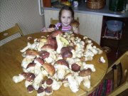гриби.JPG