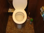 IMG_0533.jpg