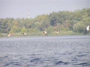 PA020633.JPG