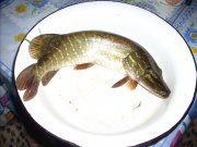 DSCN2005.JPG